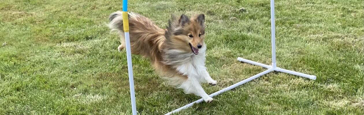 studjeframjandet_14878_Bakgrund-L Freestyle och trix